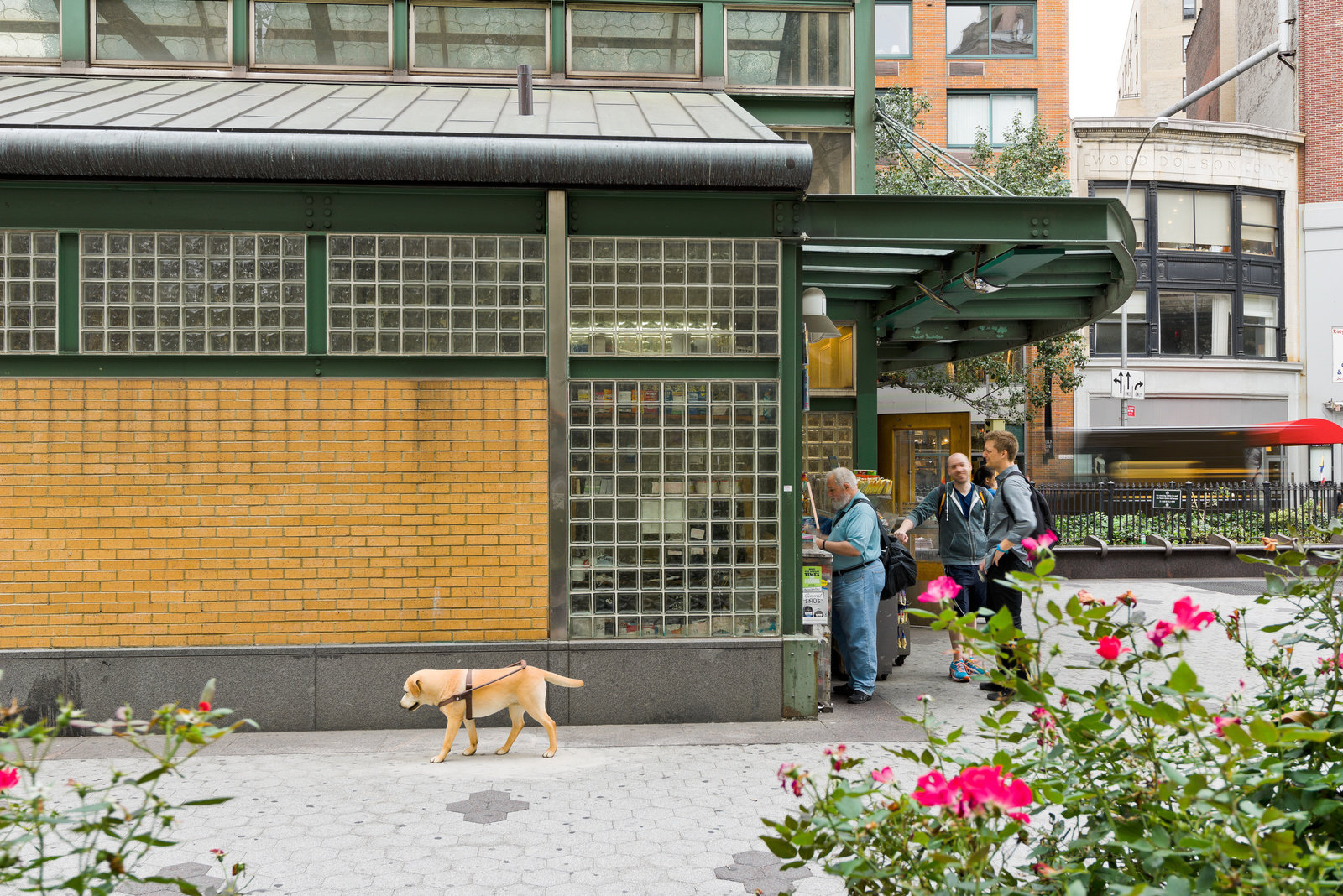 Matellistraydoginstallation2014paintedbronze20x45x15in.50.8x114.3x38.1cmcnon55.523photocreditmarkwoods