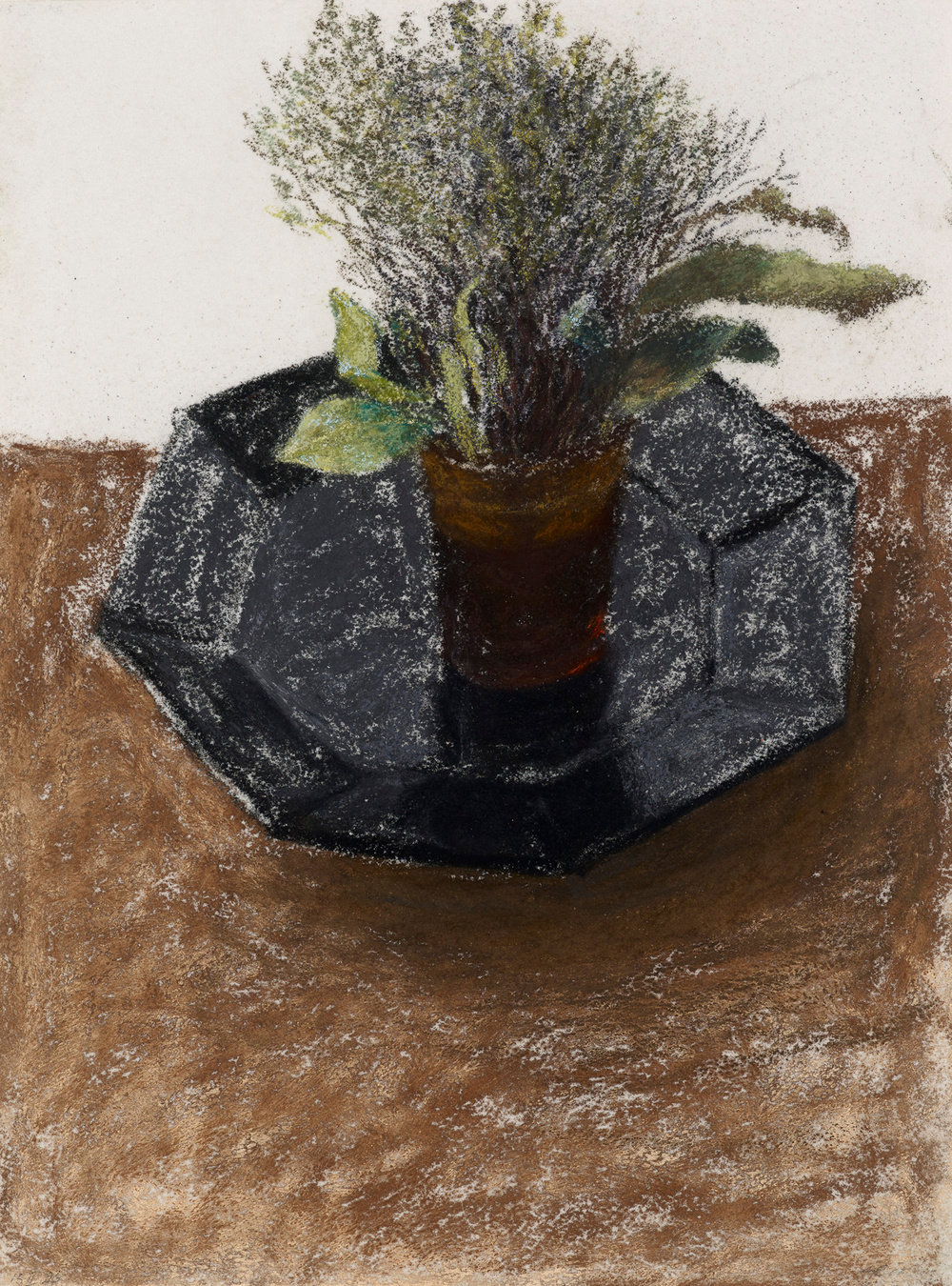 Arikha, thyme and laurel, 1996, pastel on paper, 15 3 4 x 11 3 4 in