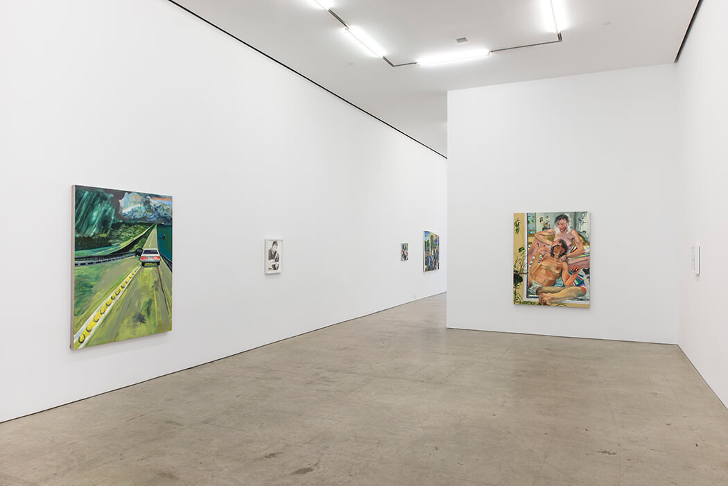 Wild and blue installation view 2 by celeste dupuy spencer marlborough contemporary new york