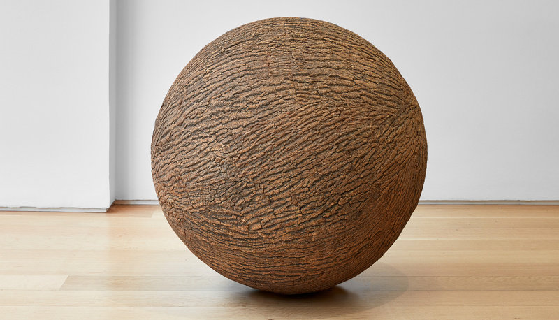 Fisk, treeball (ash) (view 1), 1998, wood, bark, diameter 29 in., 73.7 cm, cnx 7270 luke walker (lef edit)