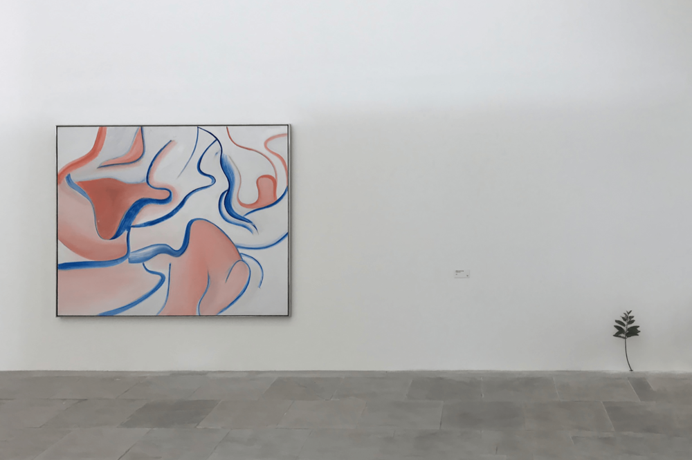 Tony matelli, installed with willem de kooning at fondation carmignac 2018