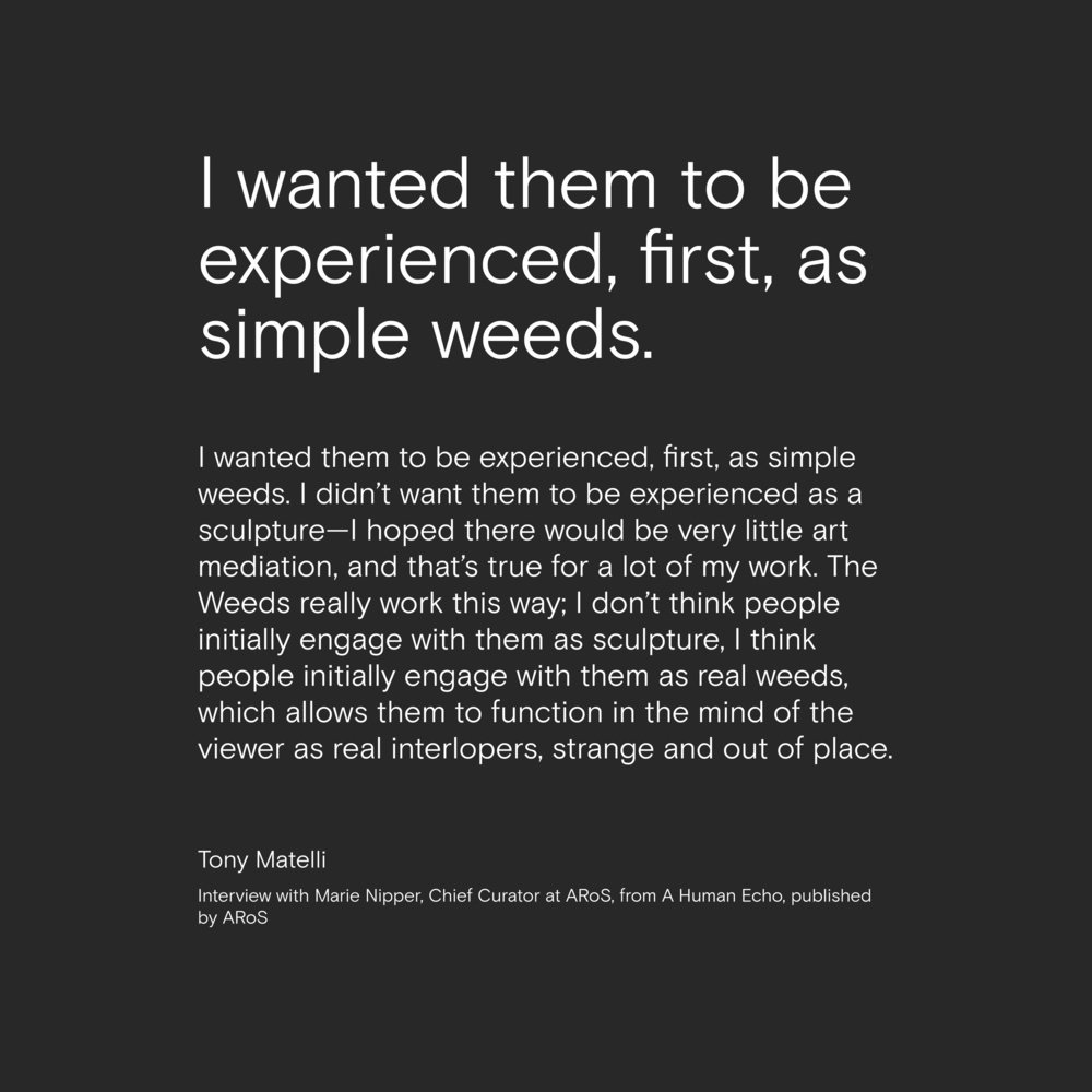 Tony matelli weeds quote2