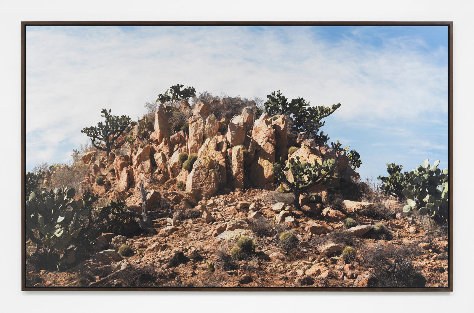 Vonbismarcklandscapepaintingdesert2015framedinkjetprint63x102in.160.02x259.08cmcnon56.730